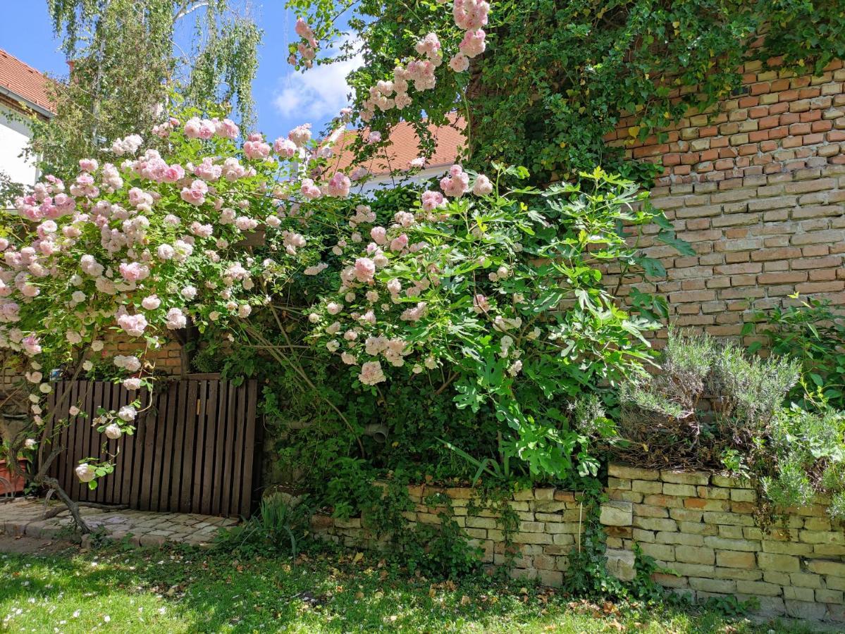 Patak28 Apartmanok Ödenburg Exterior foto